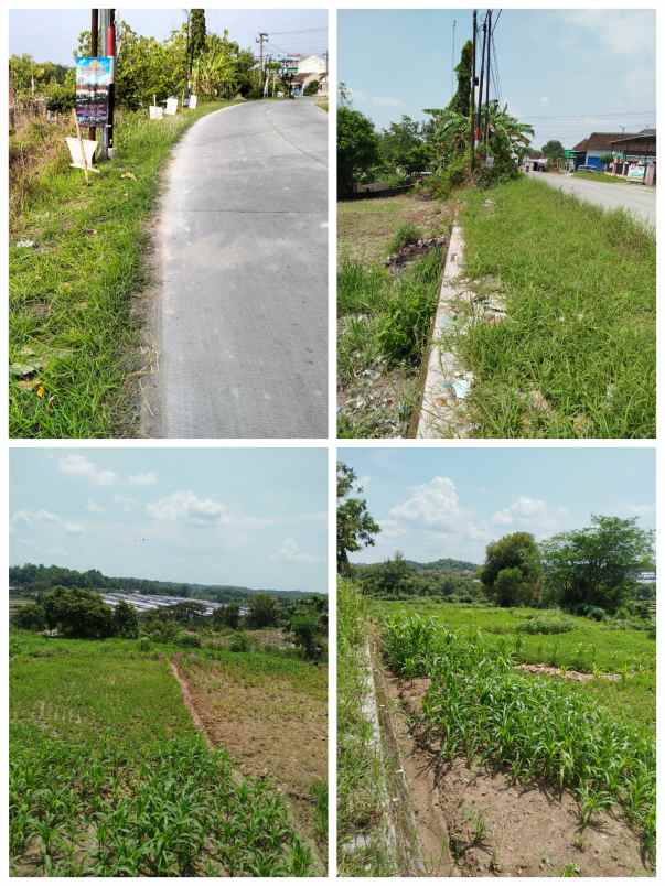 pekarangan 6080m2 muka 60m tepi jln pu 600rb m2