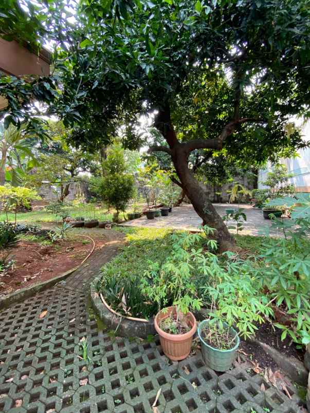 rumah dijual di arjuna utara