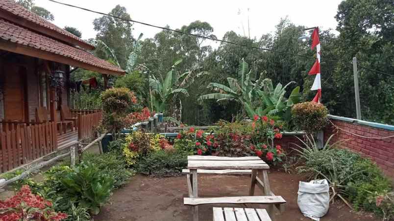 rumah jl kawah papandayan desa