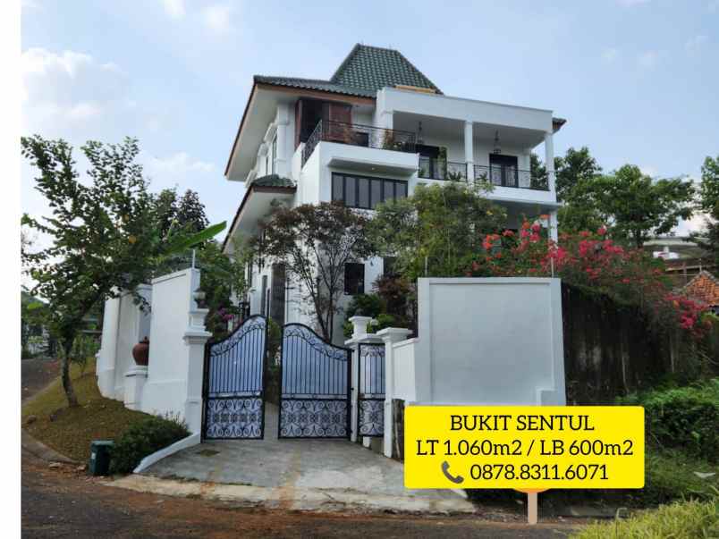 rumah mewah unik ukiran jati solo bukit sentul