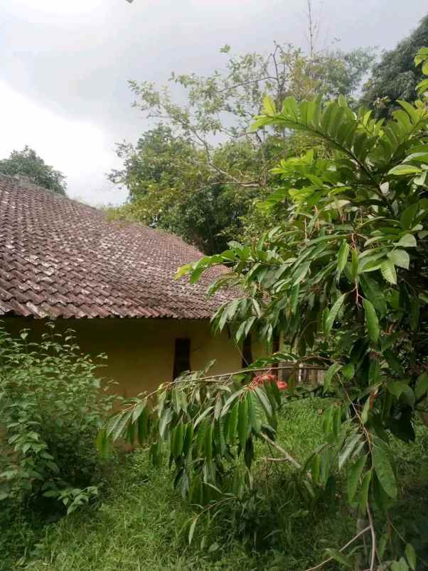rumah semi villa cidahu sukabumi