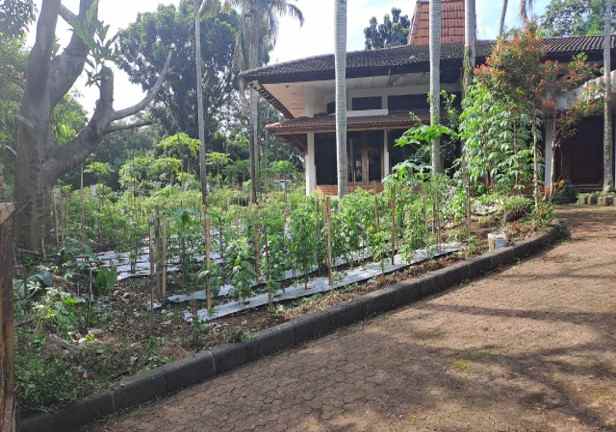 rumah siap huni 498 m2 di bogor nyaman strategis