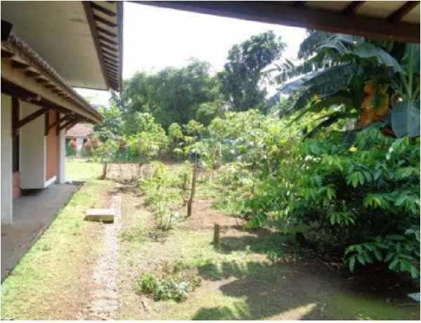 rumah siap huni 498 m2 di bogor nyaman strategis