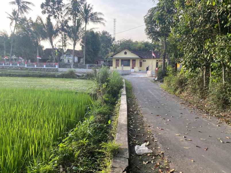 rumah siap huni selesi renovasi view sawah