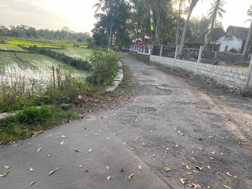 rumah siap huni selesi renovasi view sawah