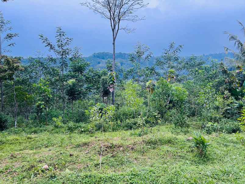 tanah 1651m view perbukitan karanganyar