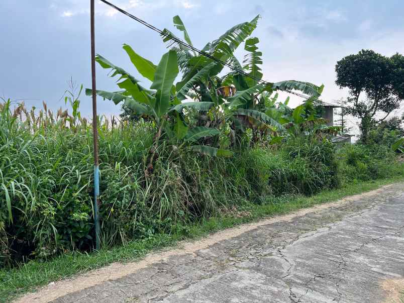 tanah 3550m cocok untuk kebun buah karanganyar