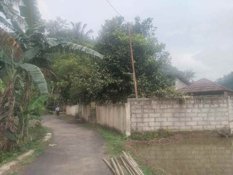 tanah bangunan rumah cijambe subang jawa barat