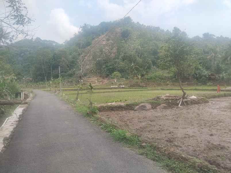 tanah bangunan rumah cijambe subang jawa barat