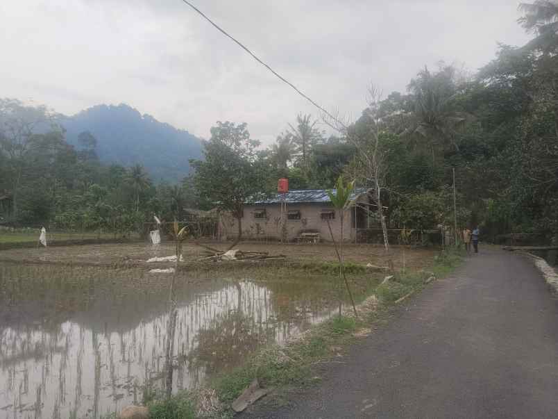 tanah bangunan rumah cijambe subang jawa barat