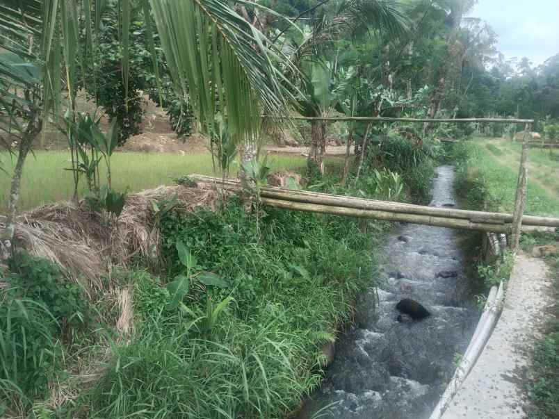 tanah bangunan rumah cijambe subang jawa barat