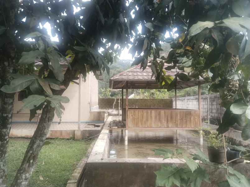 tanah bangunan rumah cijambe subang jawa barat