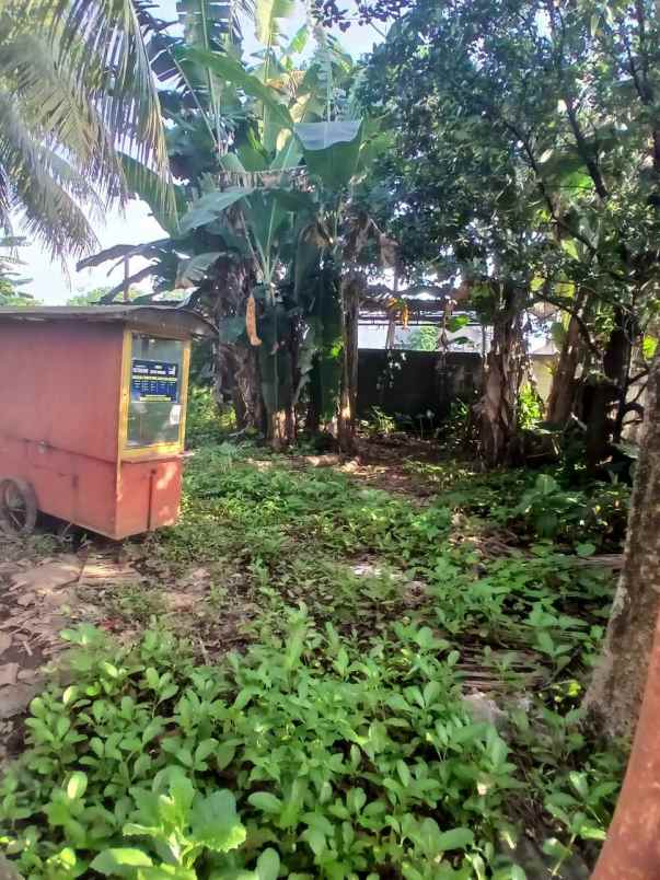 tanah bonus rumah strategis di grogol depok