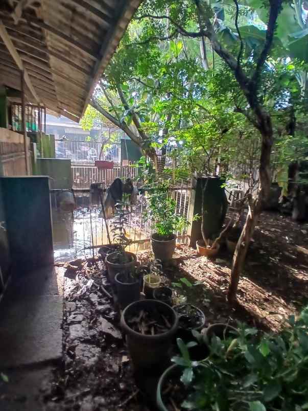 tanah bonus rumah strategis di grogol depok