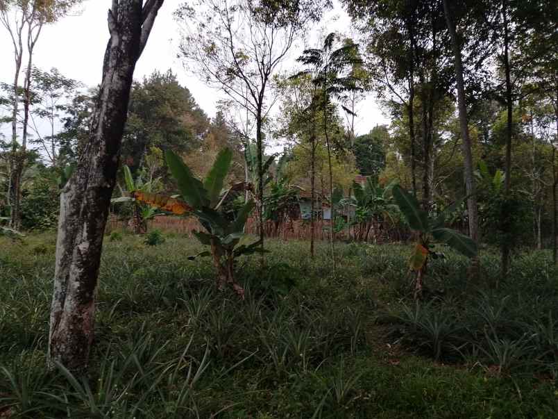 tanah darat strategis ciater subang