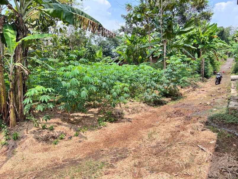 tanah datar 250 juta utara pasar mojogedang