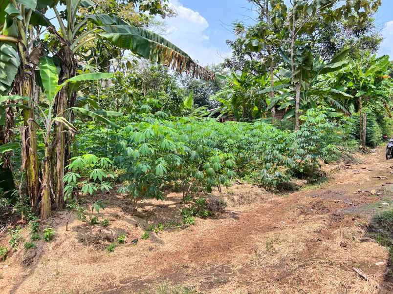 tanah datar 250 juta utara pasar mojogedang