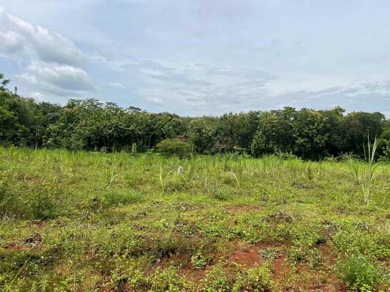 tanah datar 8000m hanya 200rb m kerjo karanganyar