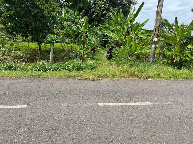 tanah datar 8000m hanya 200rb m kerjo karanganyar