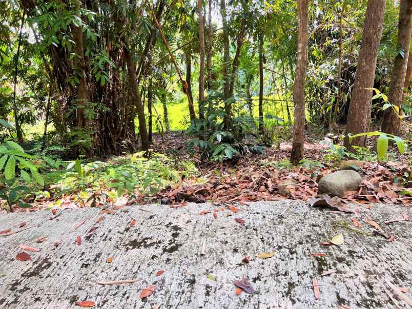 tanah dekat sungai sawah mojogedang karanganyar