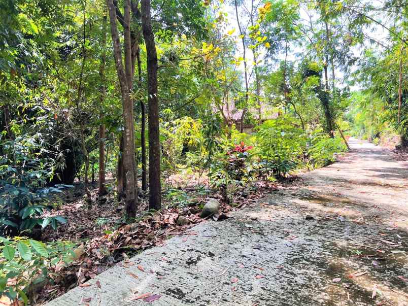 tanah dekat sungai sawah mojogedang karanganyar