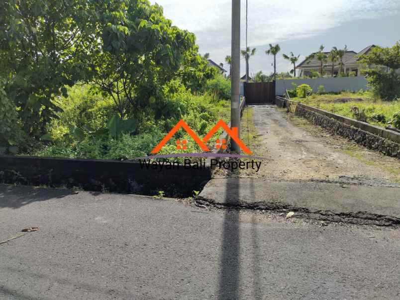 tanah jalan subak sari