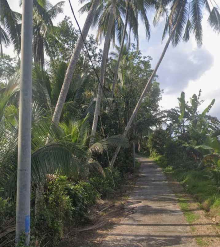 tanah kebun view sungai di selemadeg tabanan bali