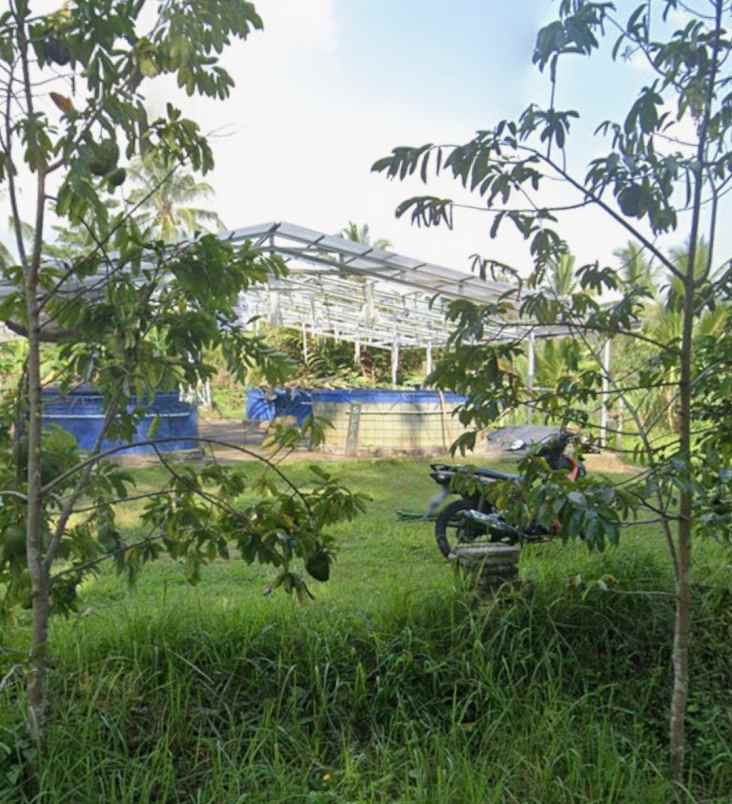 tanah kebun view sungai di selemadeg tabanan bali