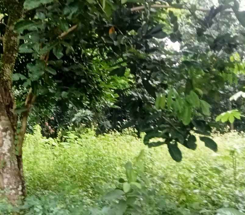 tanah komersil 1277 m2 setu bekasi