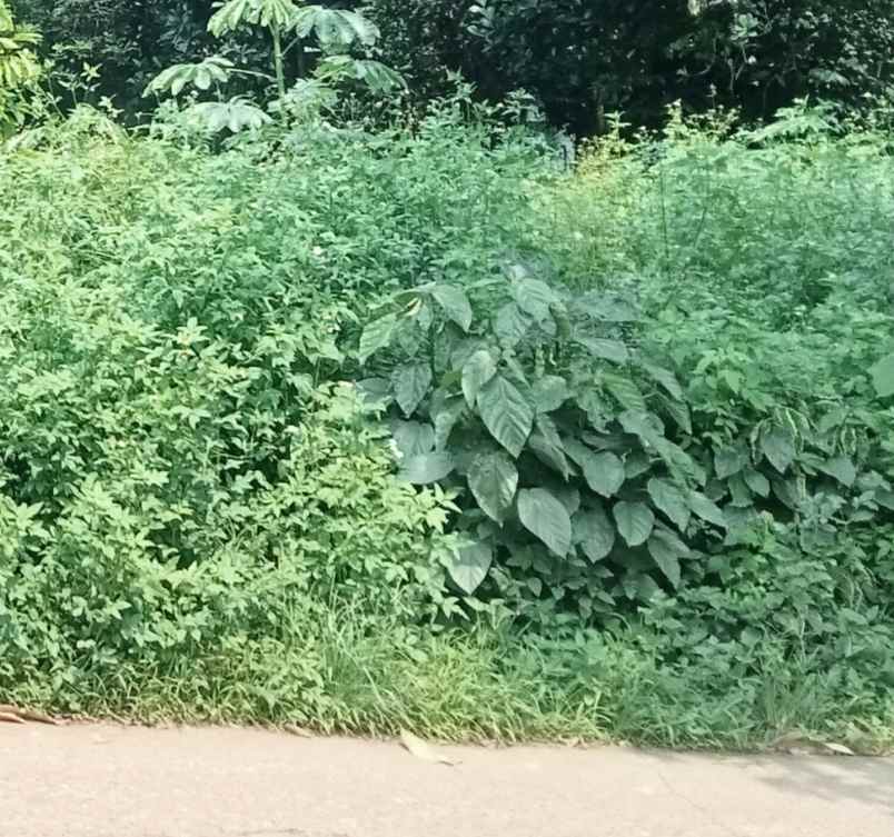 tanah komersil 1277 m2 setu bekasi