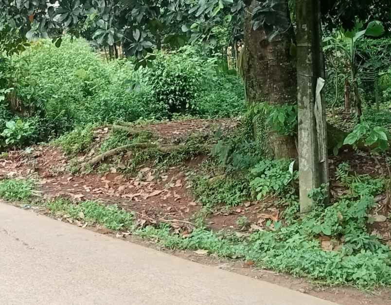 tanah komersil 1277 m2 setu bekasi