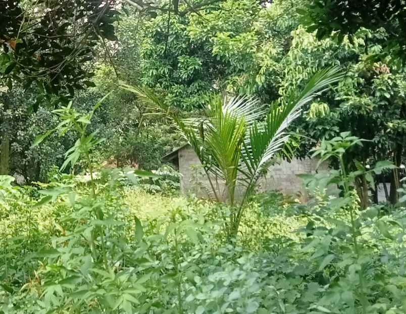 tanah komersil 1277 m2 setu bekasi