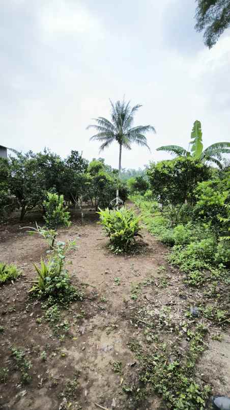 tanah luas di karangploso malang