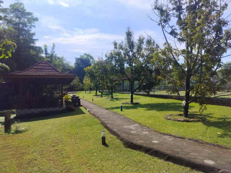 tanah luas lokasi strategis dekat stadion maguwoharjo