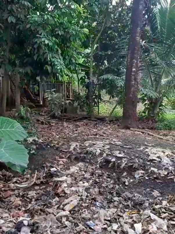 tanah luas murah di blotongan salatiga