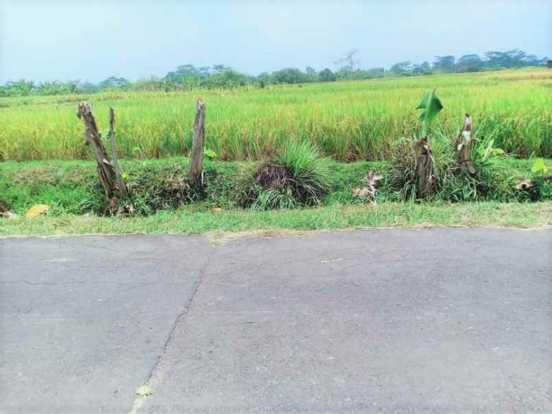 tanah mojogedang karanganyar