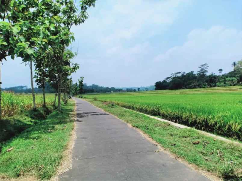 tanah mojogedang karanganyar