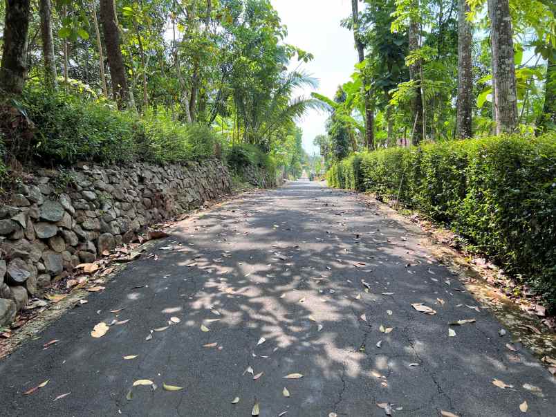 tanah mojogedang karanganyar jateng