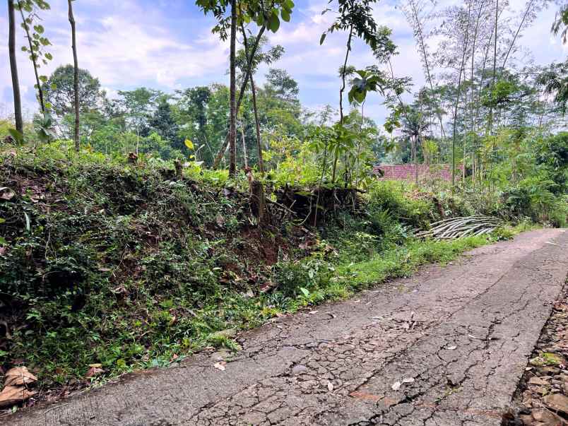 tanah mojogedang karanganyar jateng