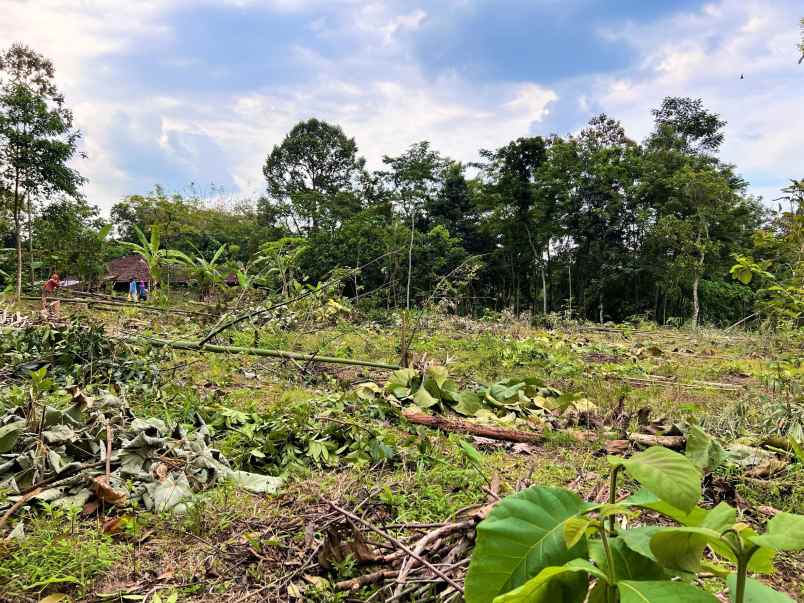 tanah mojogedang karanganyar jateng