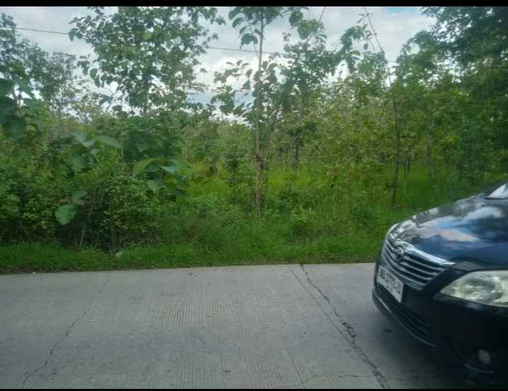 tanah murah bisa untuk apa saja