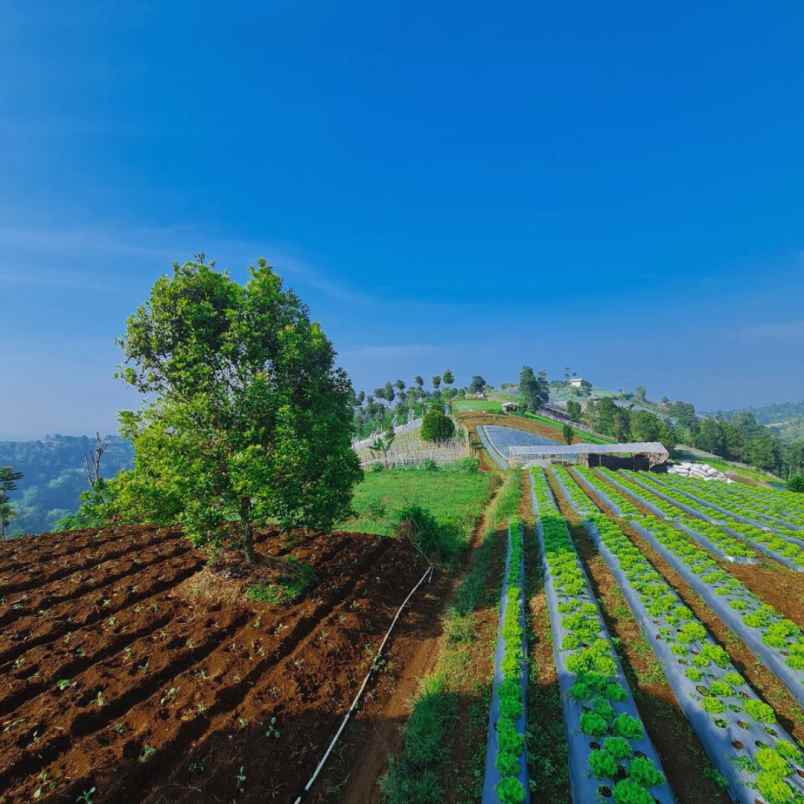 tanah murah dekat stasiun kereta cepat padalarang