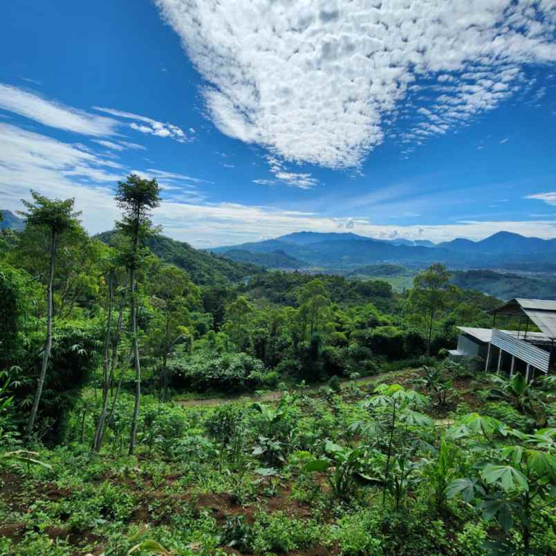 tanah murah diciwidey cocok untuk villa dan perkebunan