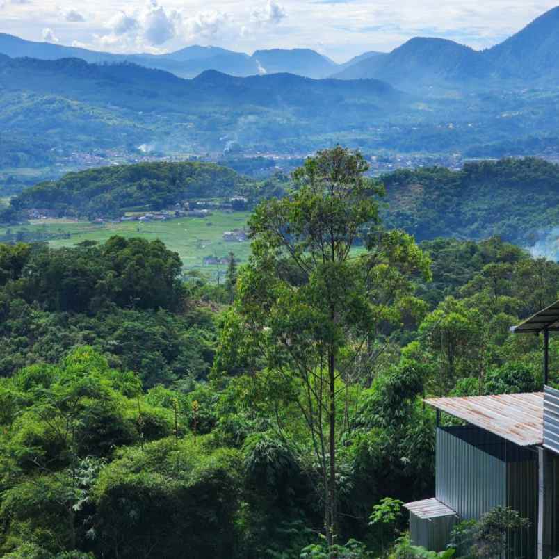 tanah murah diciwidey cocok untuk villa dan perkebunan
