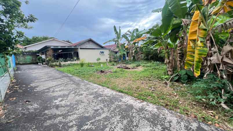 tanah palembang area kebun bunga