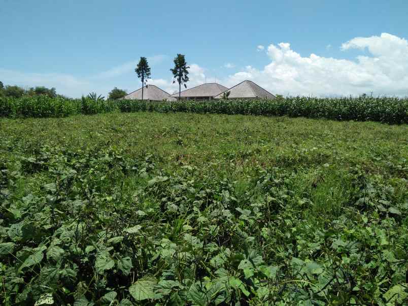 tanah pantai klecung