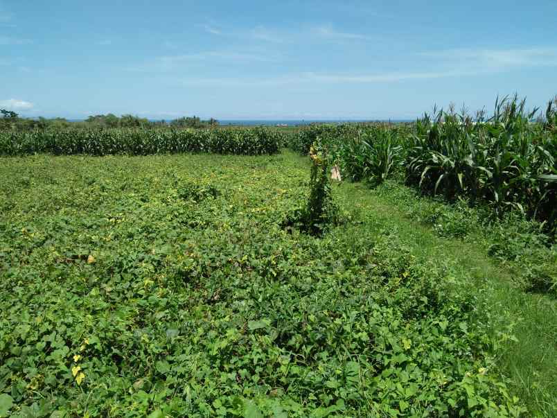 tanah pantai klecung