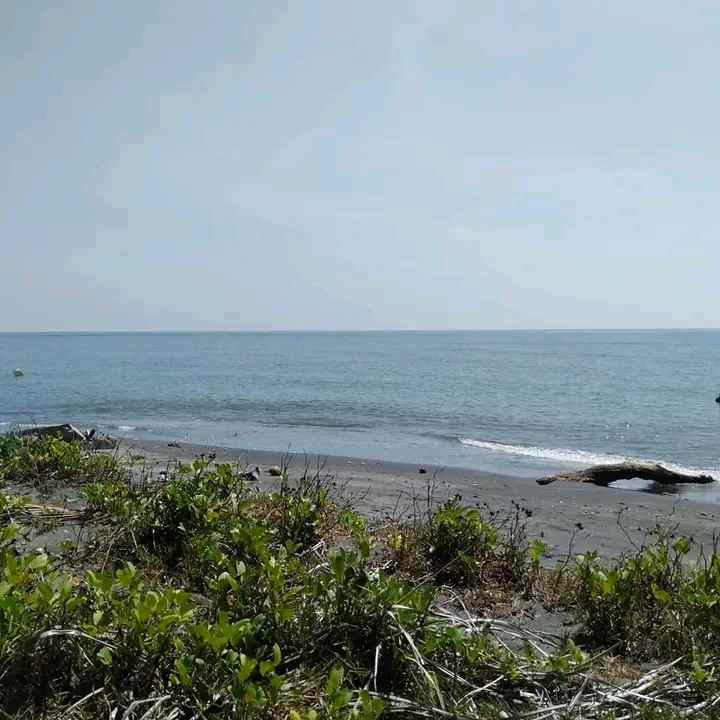 tanah pinggir pantai tanjung lombok utara