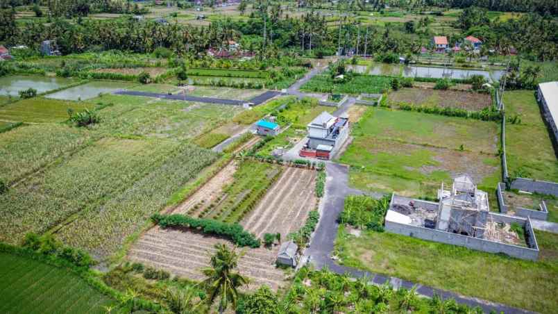 tanah saba blabatuh gianyar