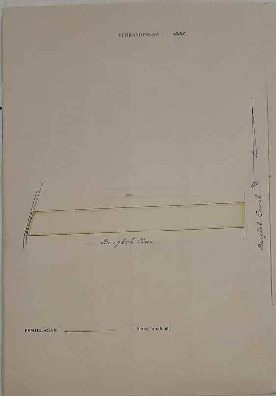 tanah sawah strategis dekati jalan pantura